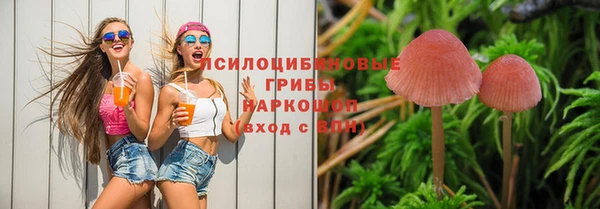 Альфа ПВП Абаза