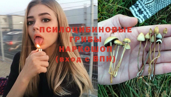 шишки Абдулино
