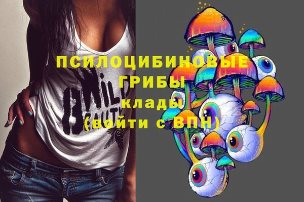 Альфа ПВП Абаза