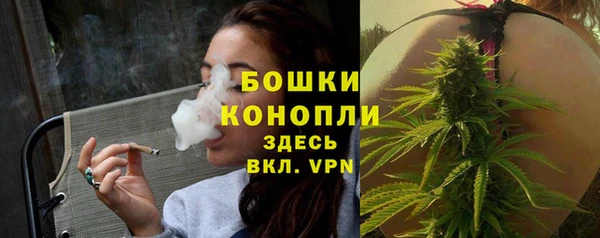 шишки Абдулино